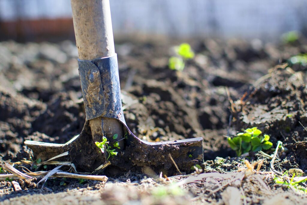 Prepare Your Soil for Louisiana’s Cool weather Planting Season