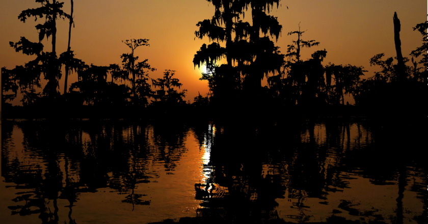 Fall-ing in Love with Louisiana Again